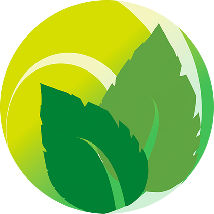 logo de efeyer